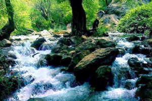 Margoon Waterfall - Sepidan (Fars Province)