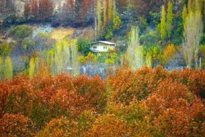 Kordan Village (near Karaj) - Alborz Province