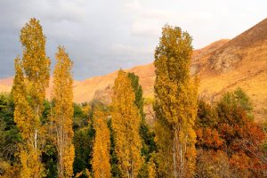 Kordan Village (near Karaj) - Alborz Province