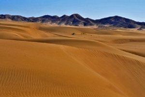 Maranjab Desert