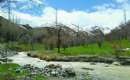 Nature of Amol (Thumbnail)