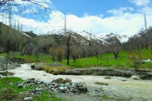 Nature of Amol