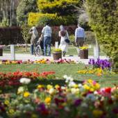 Isfahan Flower Garden