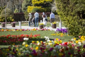 Isfahan Flower Garden