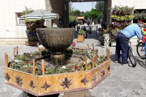 Isfahan Flower Garden
