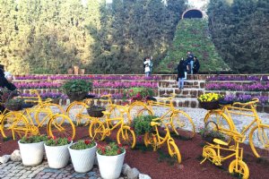 Isfahan Flower Garden