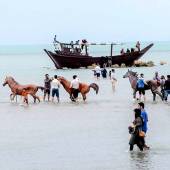 Bandar-e-Bushehr