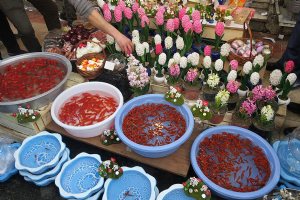 Tajrish Bazaar - Tehran
