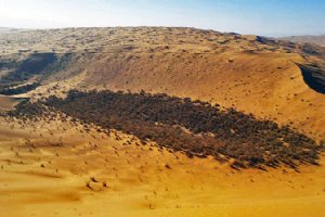 Rig-e Jenn (Dune of the Jinn)