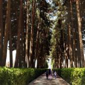 Akbarieh Historical Garden, Mansion and Museum