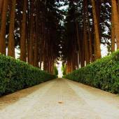 Akbarieh Historical Garden, Mansion and Museum