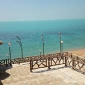 Bushehr
