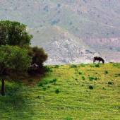 Bovan Gorge (Tang-e Bovan) - Fars Province