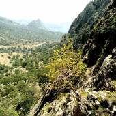 Bovan Gorge (Tang-e Bovan) - Fars Province