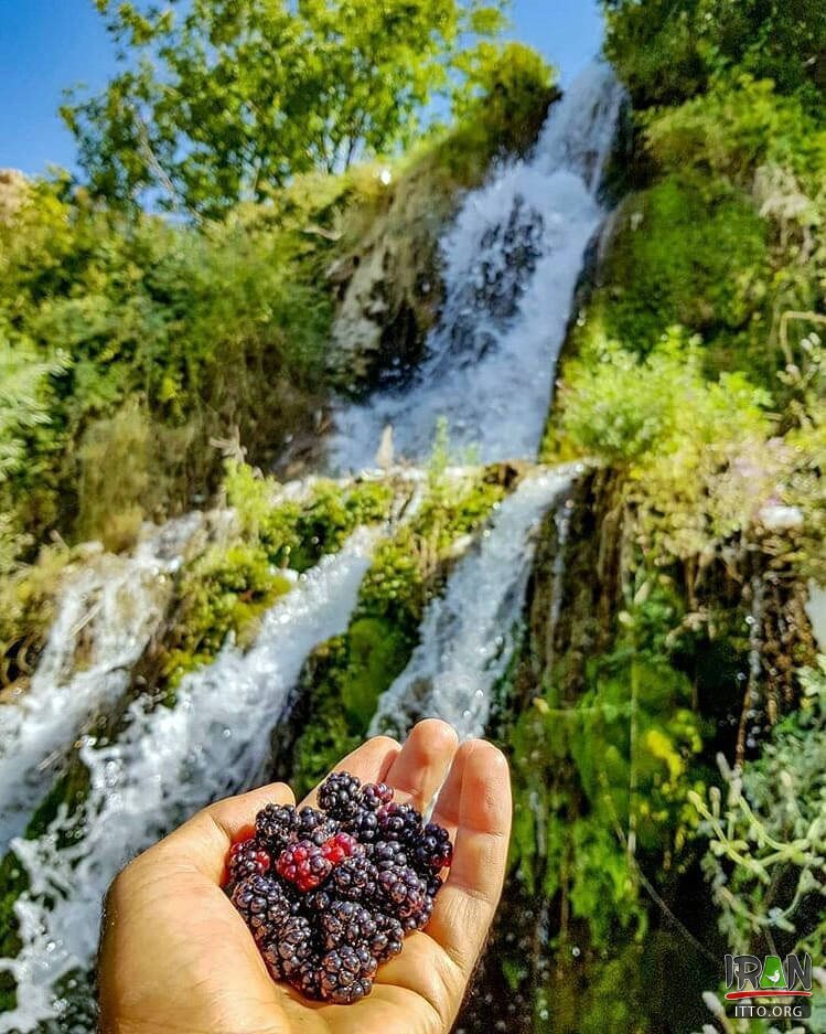 Tang-e Bovan,Bovaan Gorge,Tangeh-e Bovan,نورآباد ممسنی,نوراباد ممسنی,نورابادممسنی,mamasani,nourabad,fars province,استان فارس,tangeh bovan,tang bovaan,bovan canyon