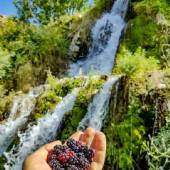 Bovan Gorge (Tang-e Bovan) - Fars Province