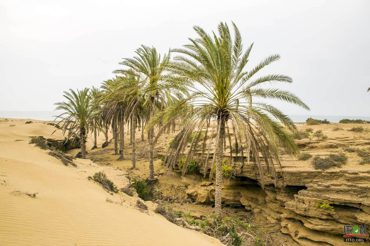 Darak Beach,Sahel-e Darak,Zarabad County,konarak,sistan,balochestan,balouchestan,darak beach,ساحل درک,روستا درک,روستادرک,چابهار,chabahar beach