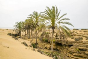 Darak Village (Darak Beach) near Chabahar