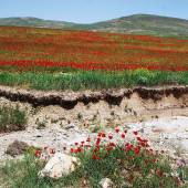 Tandoureh Protected Area - Dargaz (Khorasan Razavi)