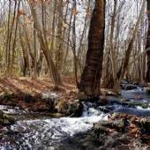Tandoureh Protected Area - Dargaz (Khorasan Razavi)