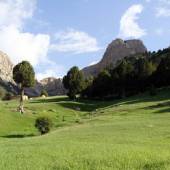 Tandoureh Protected Area - Dargaz (Khorasan Razavi)