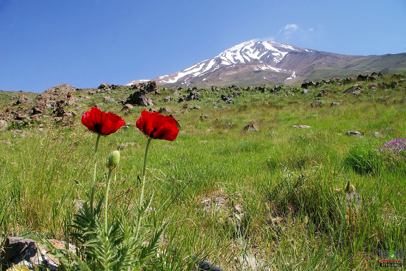 Damavand Summit,Kuh-e Damavand,Demavend,Qolleh-ye Damavand,damavand mountain,kuhedamavand,kuh damavand,koh damavand,kooh damavand,koohe damavand,kouhe damavand,kohe damavand,کوه دماوند,قله دماوند,damavand mountain,damaavand,damaavand summit