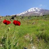 Mount Damavand