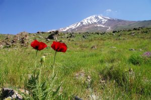Mount Damavand