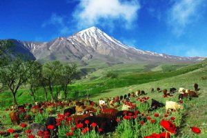 Mount Damavand - Tehran & Mazandaran Province