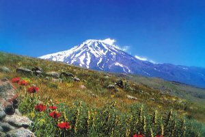 Mount Damavand - Tehran & Mazandaran Province