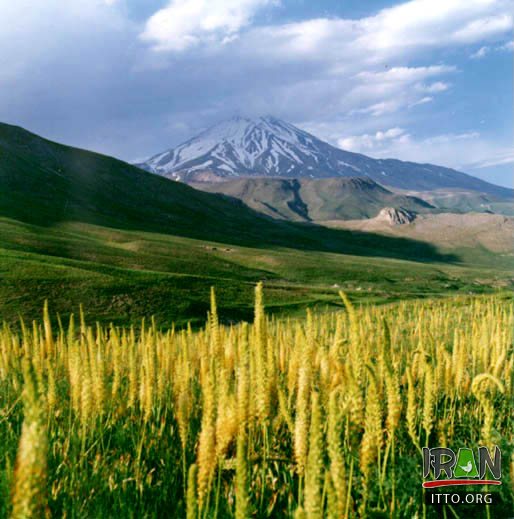 Damavand Summit,Kuh-e Damavand,damavand mountain,kuhedamavand,kuh damavand,koh damavand,kooh damavand,koohe damavand,kouhe damavand,kohe damavand,کوه دماوند,قله دماوند,damavand mountain,damaavand,damaavand summit