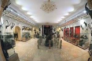Iran Wildlife and Nature Museum - Dar Abad (Tehran)