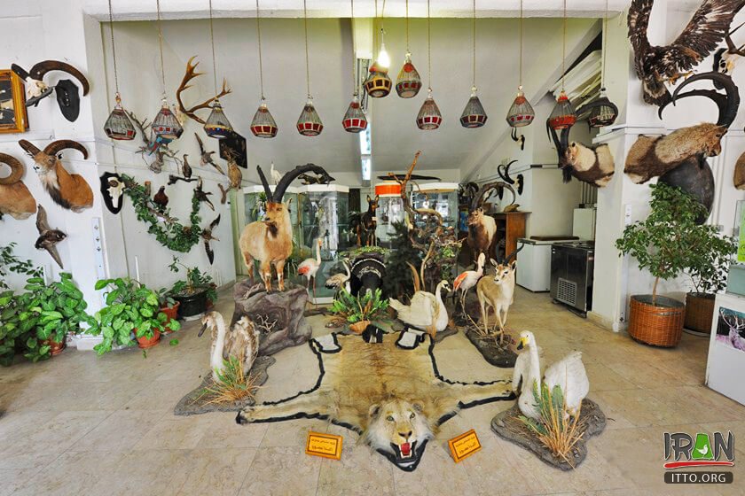 Natural Monuments and Wildlife Museum (Dar Abad),Iran Darabad Museum of Nature & Wildlife,Tehran's Nature and Wildlife Museum of Darabad,Darabad museum