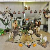 Iran Wildlife and Nature Museum - DarAbad (Tehran)
