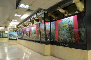 Iran Wildlife and Nature Museum - Dar Abad (Tehran)