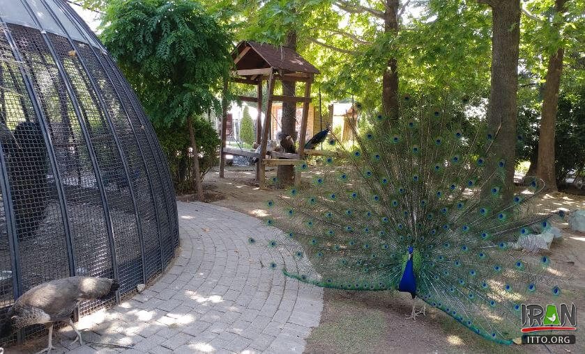 Natural Monuments and Wildlife Museum (Dar Abad),Iran Darabad Museum of Nature & Wildlife,Tehran's Nature and Wildlife Museum of Darabad,Darabad museum