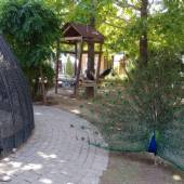 Iran Wildlife and Nature Museum - Dar Abad (Tehran)