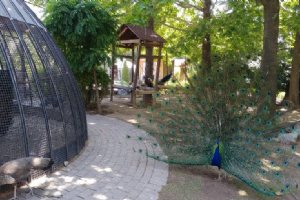 Iran Wildlife and Nature Museum - Dar Abad (Tehran)