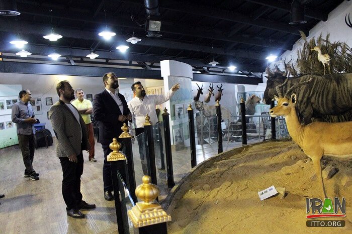 Natural Monuments and Wildlife Museum (Dar Abad),Iran Darabad Museum of Nature & Wildlife,Tehran's Nature and Wildlife Museum of Darabad,Darabad museum