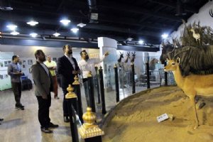 Iran Wildlife and Nature Museum - Dar Abad (Tehran)