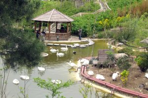 Iran Wildlife and Nature Museum - Dar Abad (Tehran)