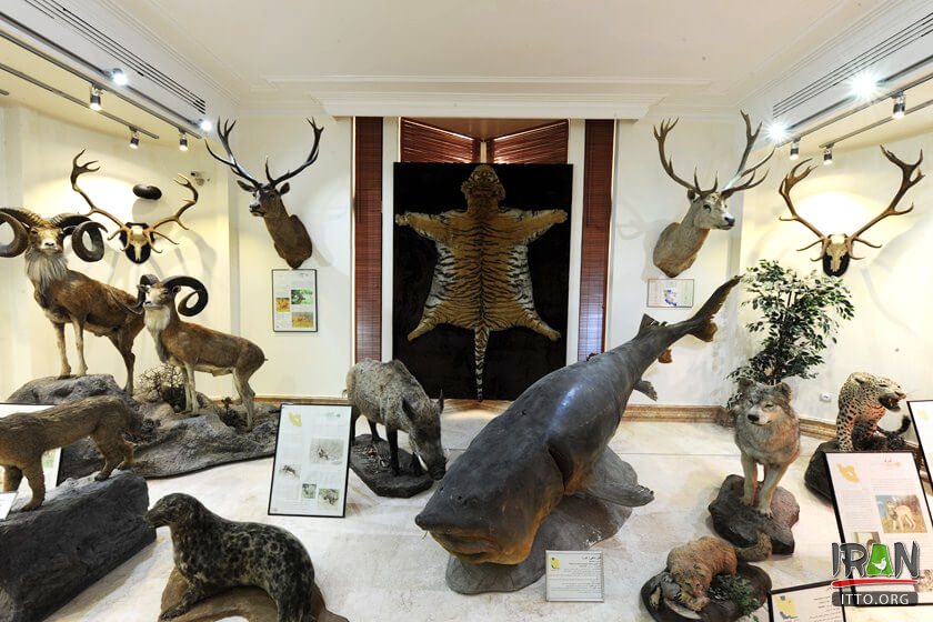 Natural Monuments and Wildlife Museum (Dar Abad),Iran Darabad Museum of Nature & Wildlife,Tehran's Nature and Wildlife Museum of Darabad,Darabad museum