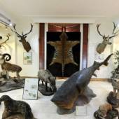 Iran Wildlife and Nature Museum - Dar Abad (Tehran)