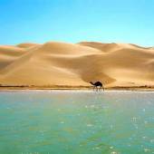 Darak Village (Darak Beach) near Chabahar
