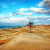 Darak Village (Darak Beach) near Chabahar