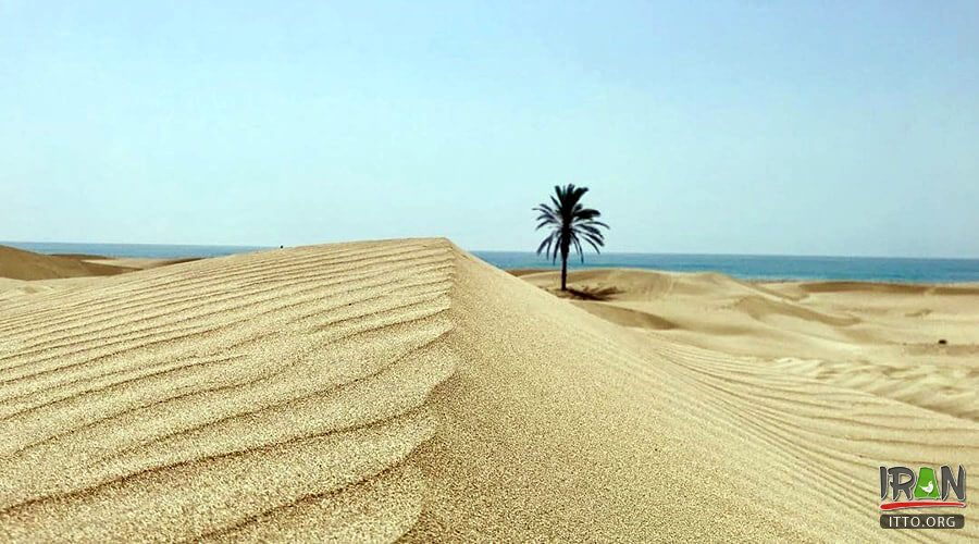 Darak Beach,Sahel-e Darak,Zarabad County,konarak,sistan,balochestan,balouchestan,darak beach,ساحل درک,روستا درک,روستادرک,چابهار,chabahar beach