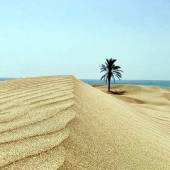 Darak Village (Darak Beach) near Chabahar