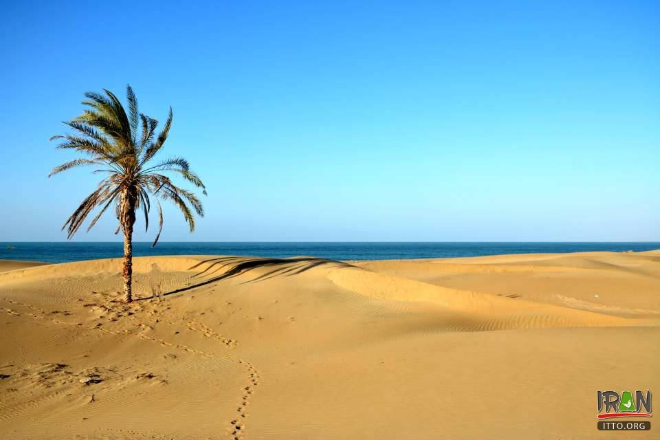 Darak Beach,Sahel-e Darak,Zarabad County,konarak,sistan,balochestan,balouchestan,darak beach,ساحل درک,روستا درک,روستادرک,چابهار,chabahar beach