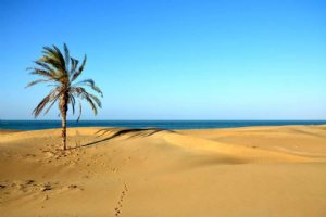 Darak Village (Darak Beach) near Chabahar