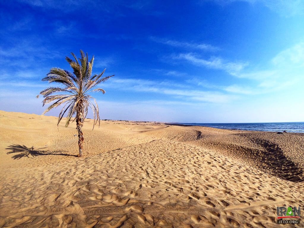 Darak Beach,Sahel-e Darak,Zarabad County,konarak,sistan,balochestan,balouchestan,darak beach,ساحل درک,روستا درک,روستادرک,چابهار,chabahar beach